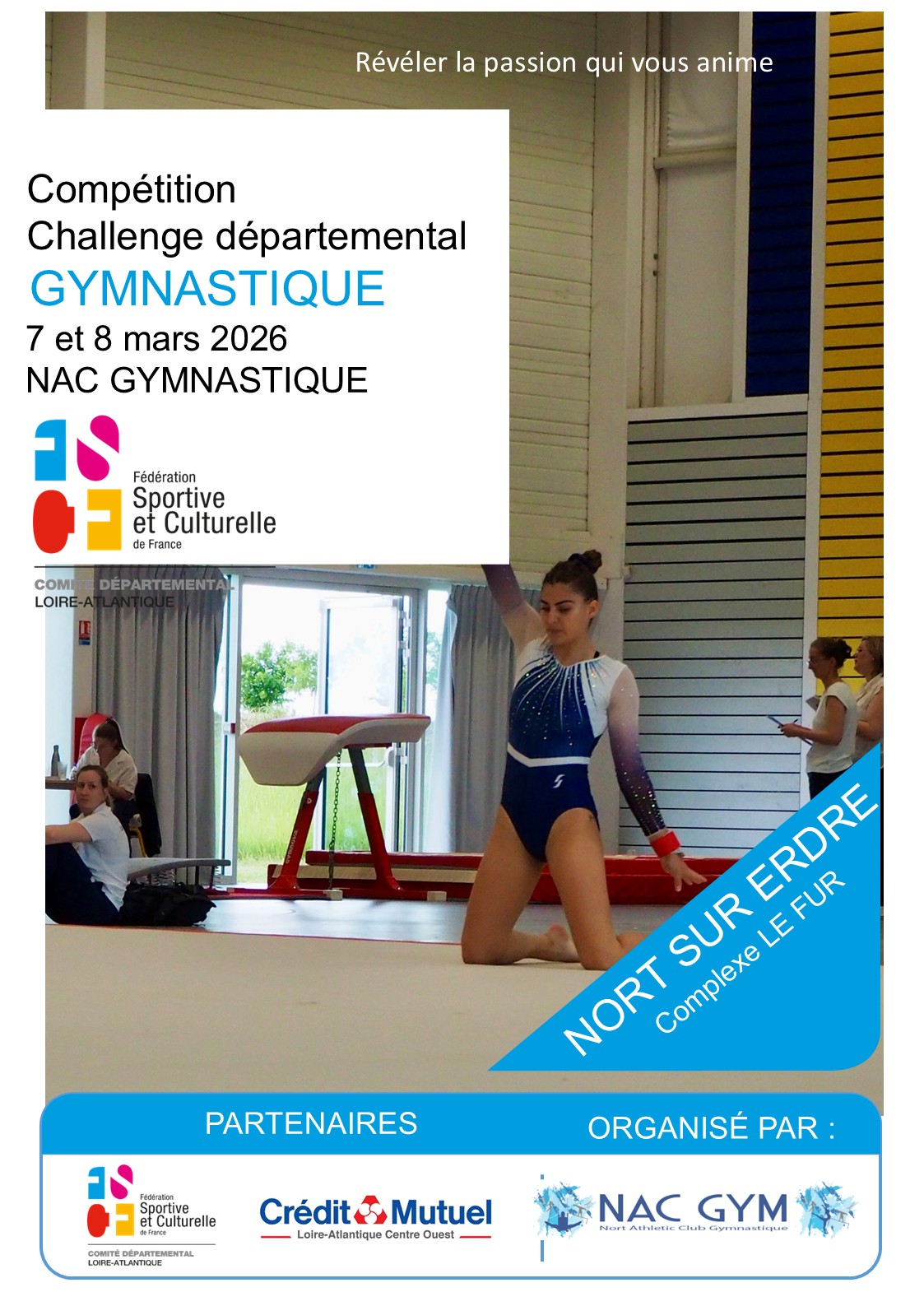 Affiches Compétition